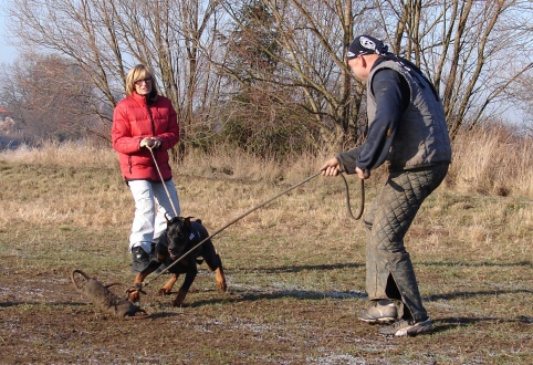 The christmas training 27.12.2006